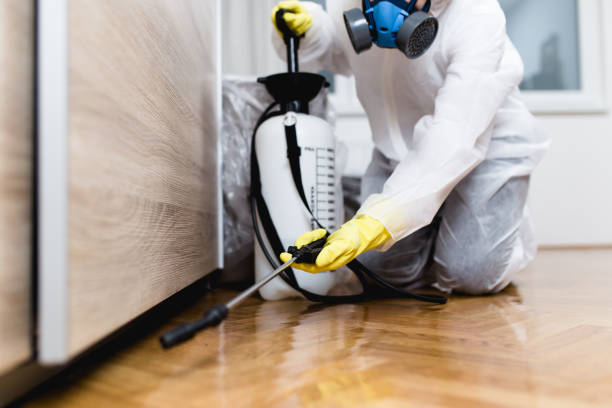 Best Affordable Pest Control Services  in Ironton, MO