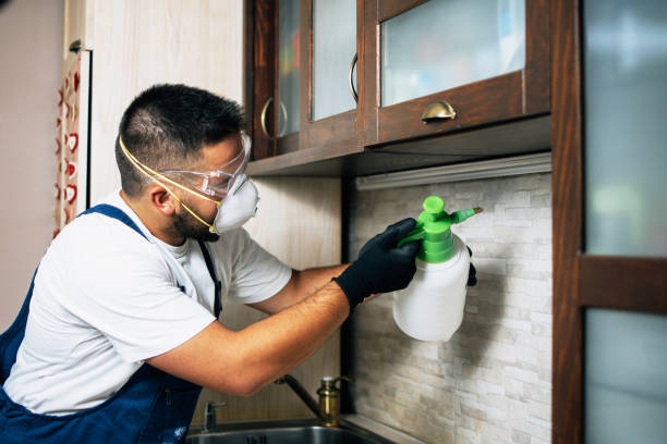 Professional Pest Control in Ironton, MO
