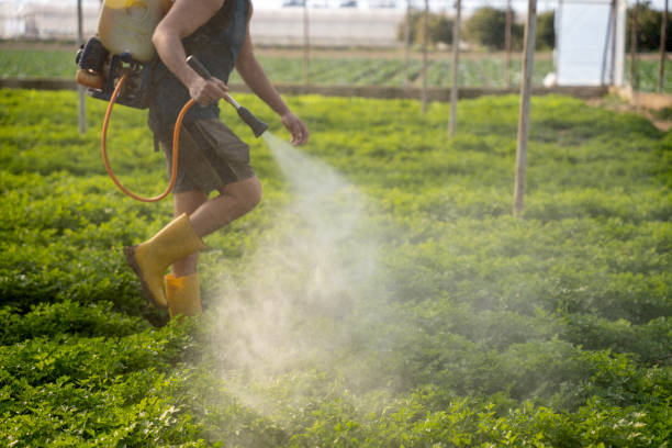 Best Best Pest Control Companies  in Ironton, MO