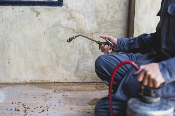 Best Affordable Pest Control Services  in Ironton, MO