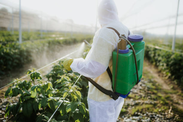 Best Emergency Pest Control  in Ironton, MO
